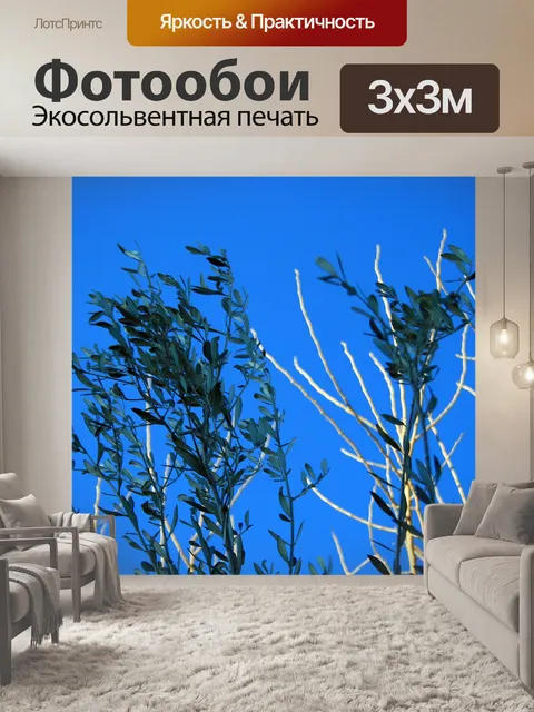 Фотообои оливковое дерево сверху