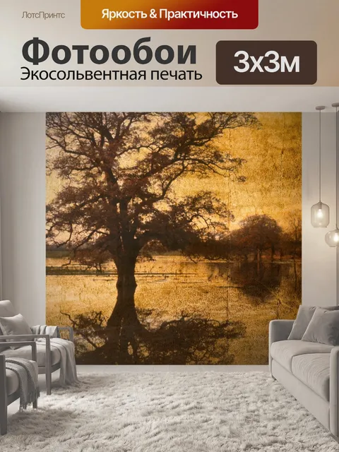 Фотообои Задний план