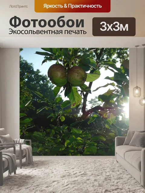 Фотообои Восход солнца