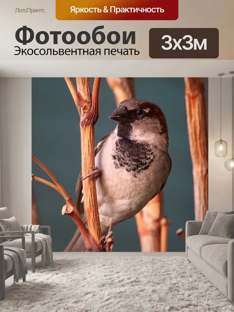 Фотообои Воробей