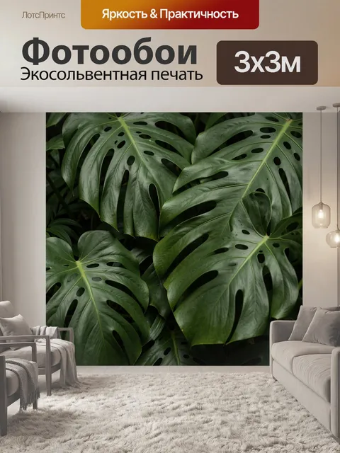 Фотообои Тропические листья монстеры