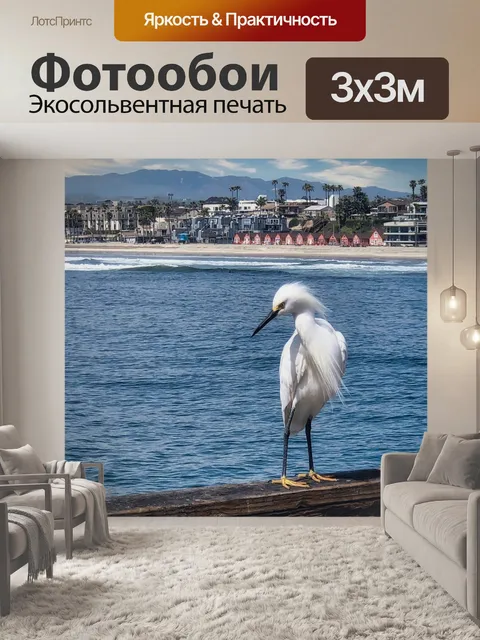 Фотообои Отпуск