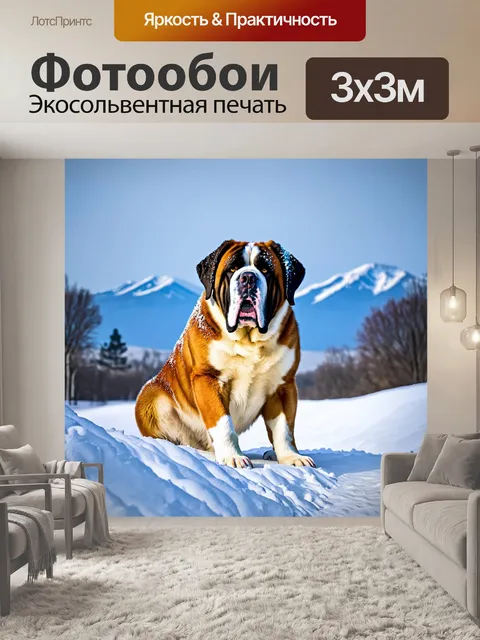 Фотообои сен-бернар играет в снежной сугробе зимой