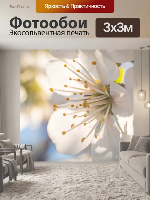 Фотообои Цветок
