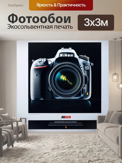 Фотообои с вандамом минимал