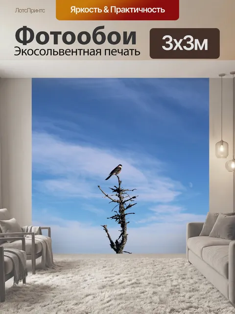 Фотообои Птицы