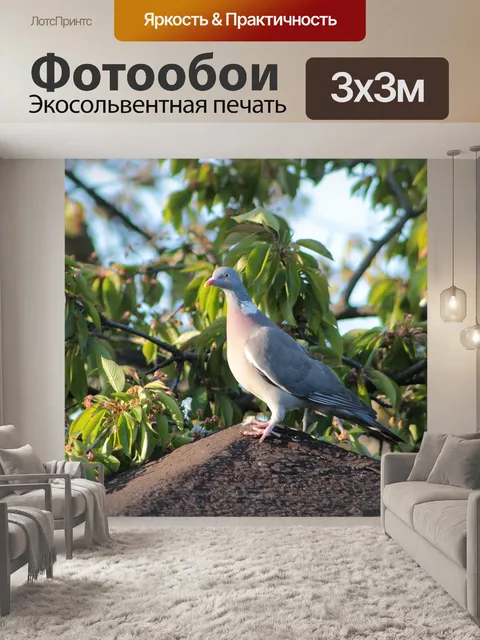 Фотообои Растительность