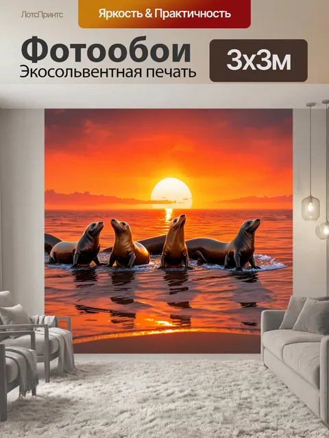 Фотообои охота на морском берегу, где морские львы охотятся на рыбу под ярким закатом
