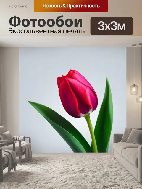 Фотообои тюльпаны и minimal art
