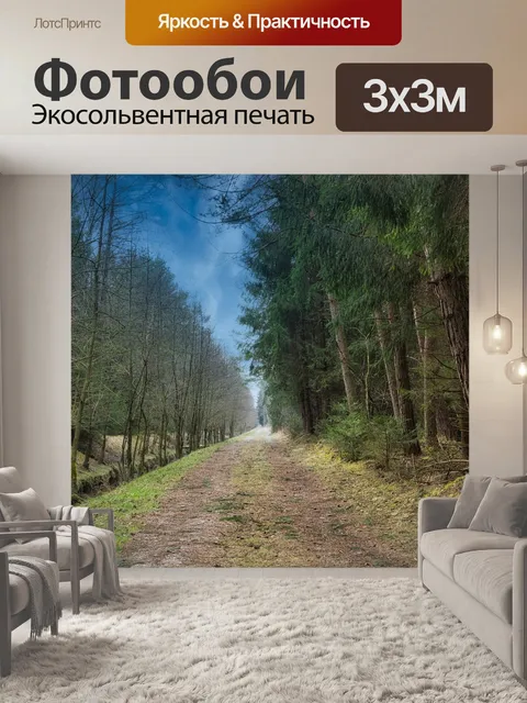 Фотообои Дорожка