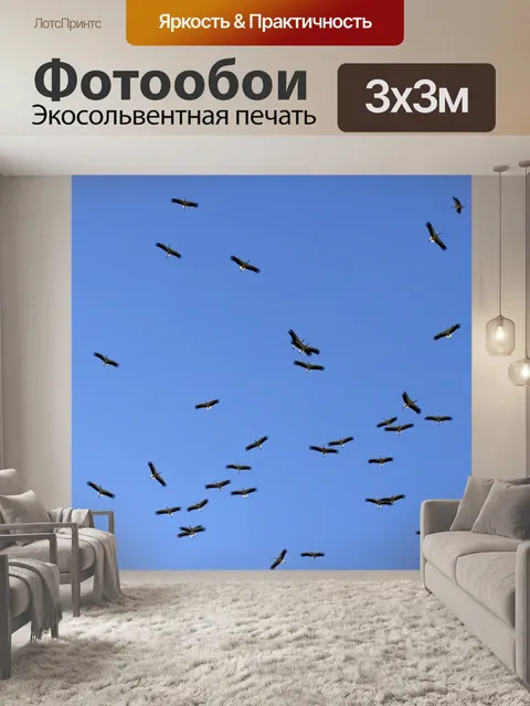 Фотообои Аист
