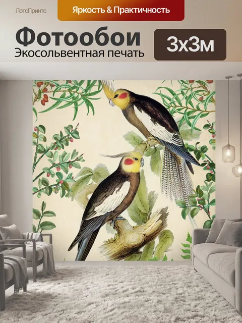 Фотообои Старинные художественные попугаи птицы