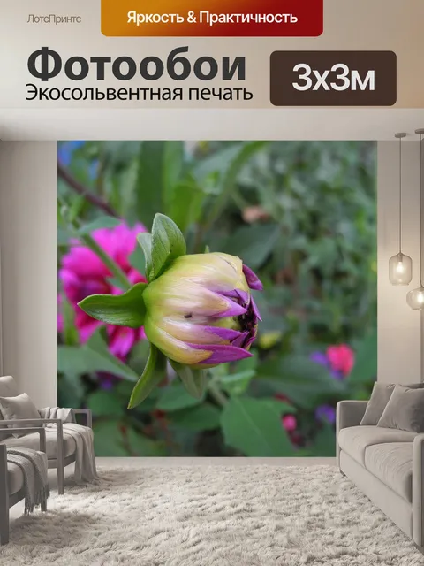 Фотообои Цветы