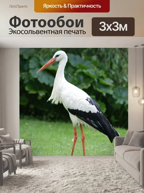 Фотообои Аист