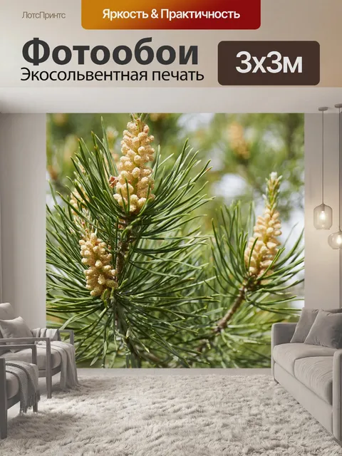 Фотообои Лес