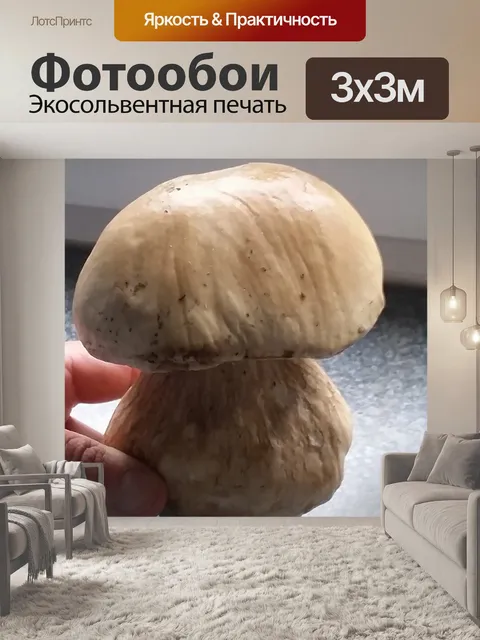 Фотообои Гриб