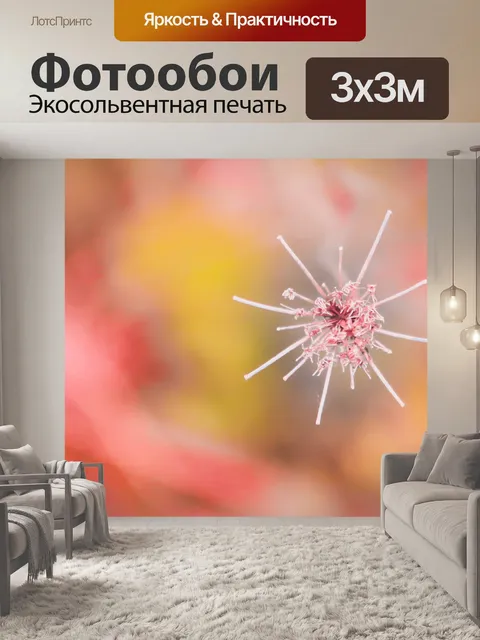 Фотообои Цветок