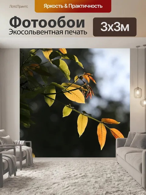 Фотообои Разноцветные листья