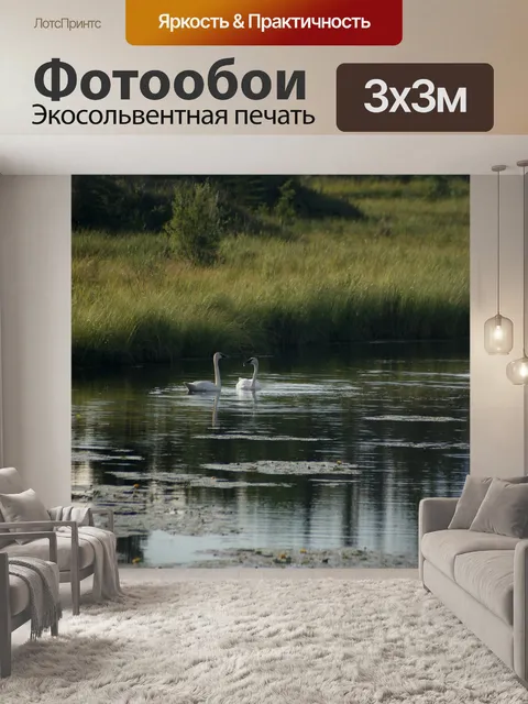 Фотообои Гуси