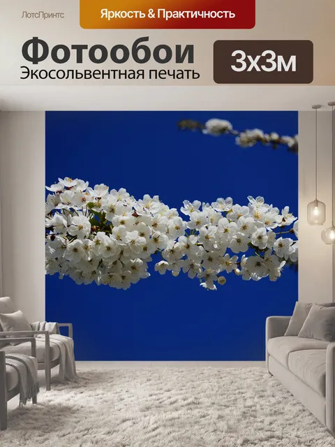 Фотообои Цветение вишни