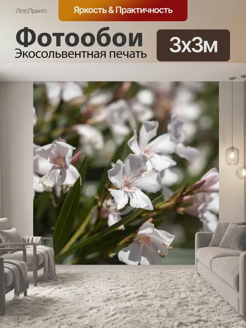 Фотообои Белый