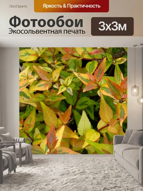 Фотообои История флоры