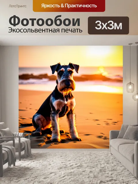 Фотообои фотография шнауцера, сидящего на пляже в золотистом свете заката