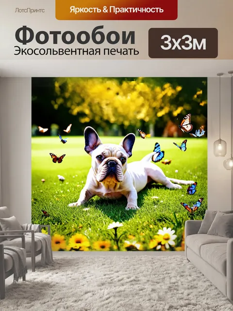 Фотообои французский бульдог асимметрично размётан на траве в парке, его уши дружелюбно торчат в разные стороны