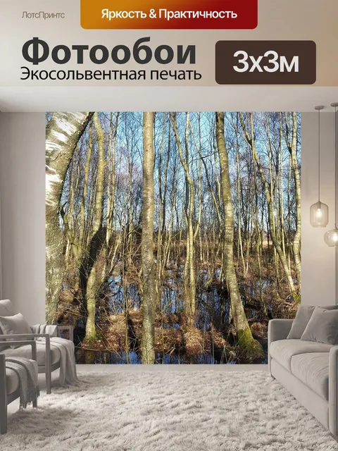 Фотообои Лес