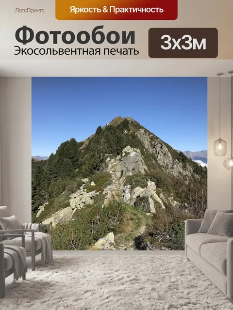 Фотообои Верхняя часть аистов