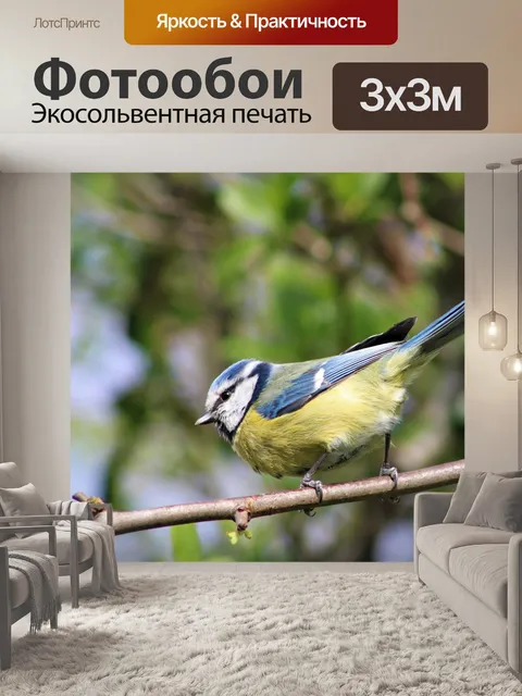 Фотообои Птица