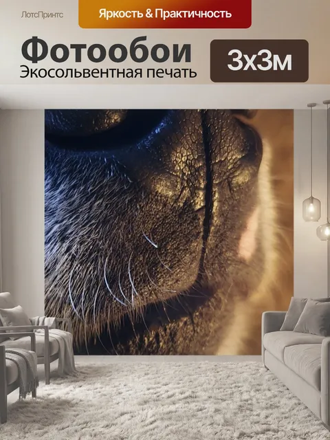 Фотообои Собака