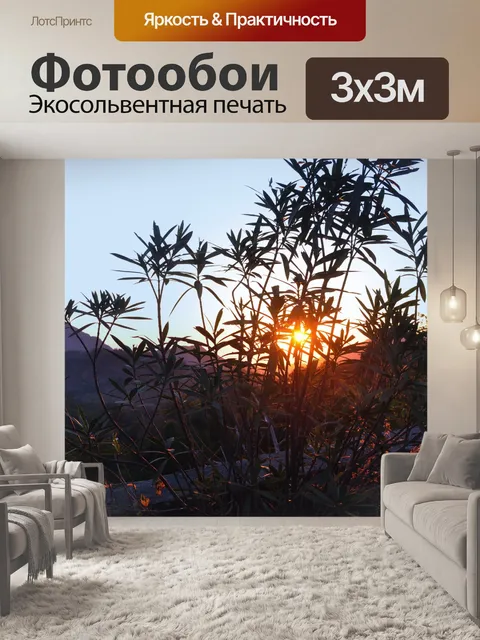 Фотообои Восход 07