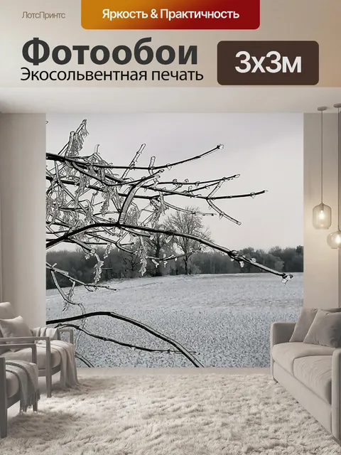 Фотообои Зима