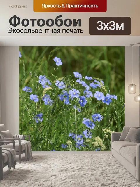 Фотообои Луговой журавль, клюв полевой