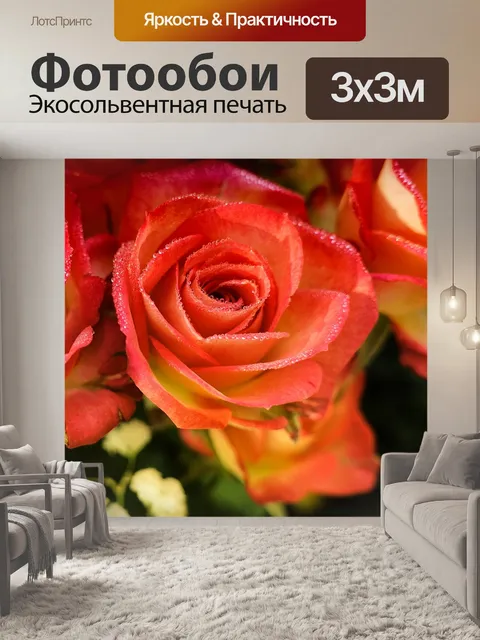 Фотообои Розы