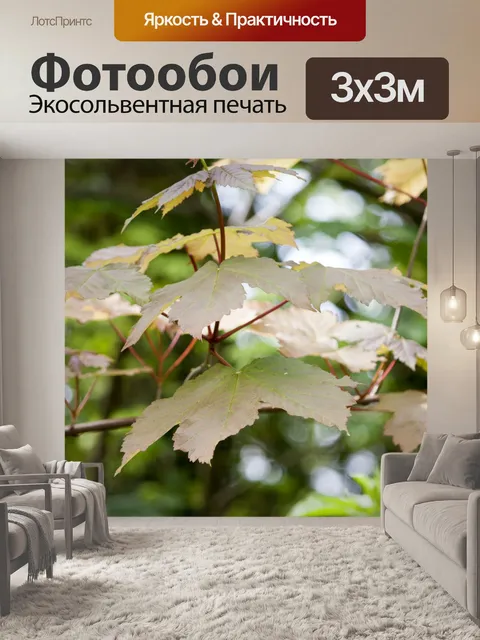 Фотообои Листья