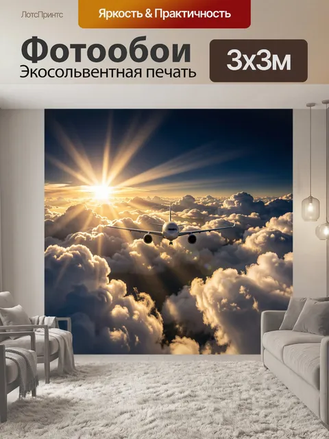 Фотообои драматичный кинематографичный вид самолета