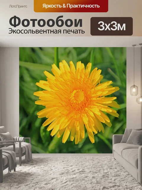 Фотообои Одуванчик