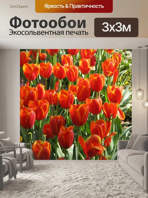 Фотообои Тюльпаны весной