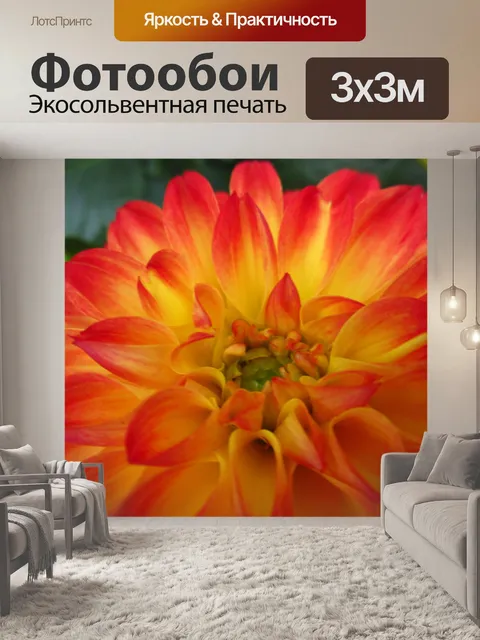 Фотообои Цвет