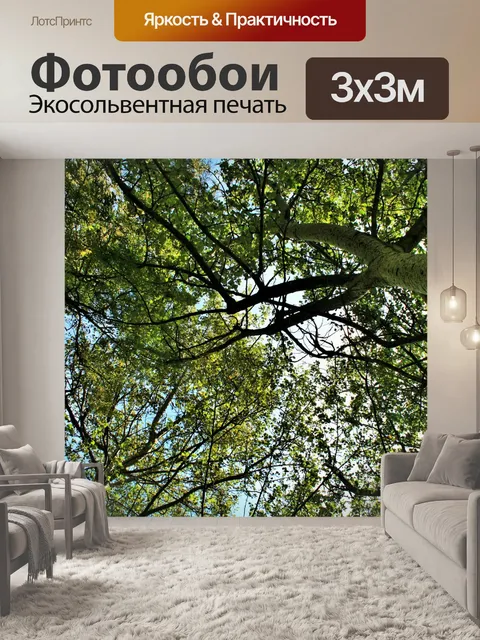 Фотообои навес дерево 2