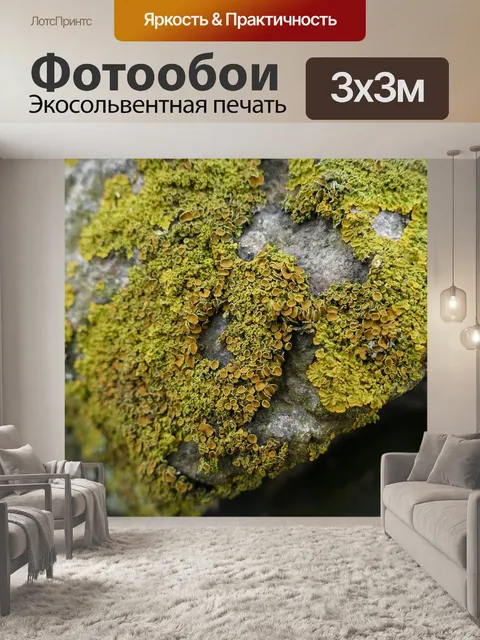 Фотообои Природа