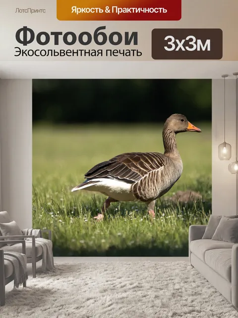 Фотообои Гусь