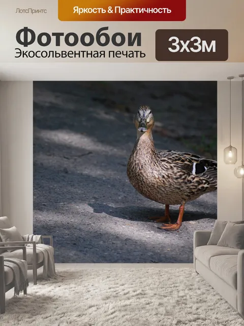 Фотообои Животные
