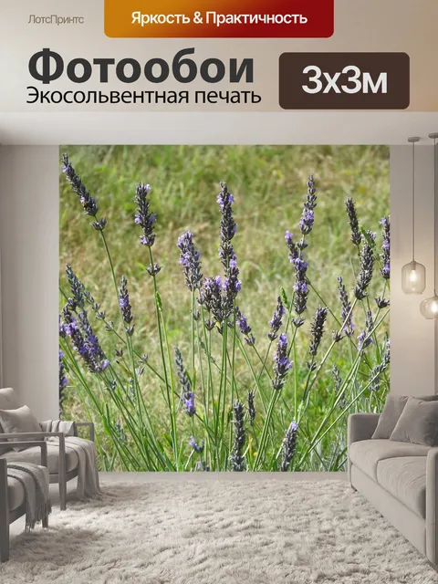 Фотообои Лаванда
