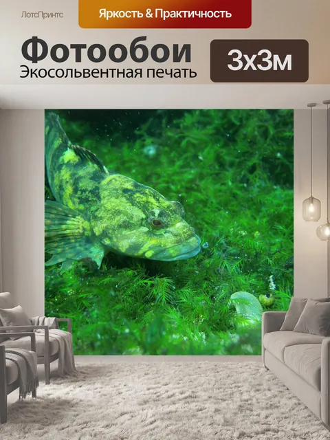 Фотообои Зеленый