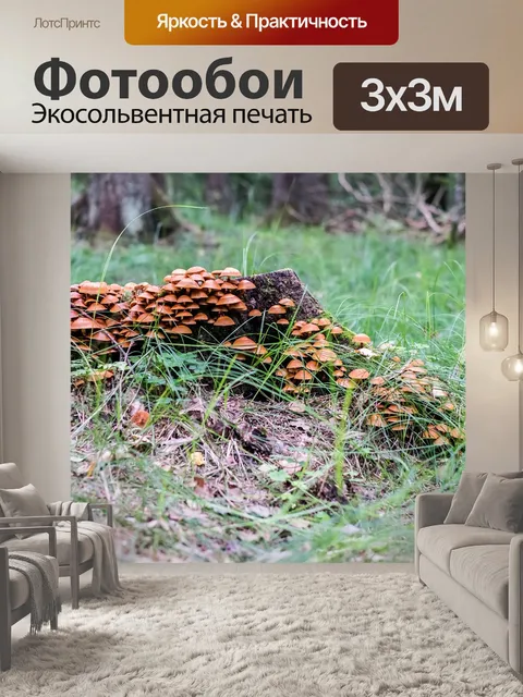 Фотообои Грибы