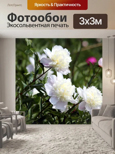 Фотообои Пионы