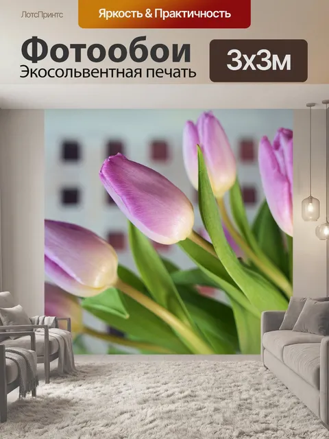 Фотообои Тюльпаны